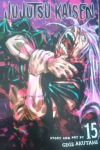 Jujutsu Kaisen 15