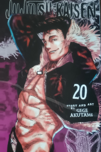 Jujutsu Kaisen 20